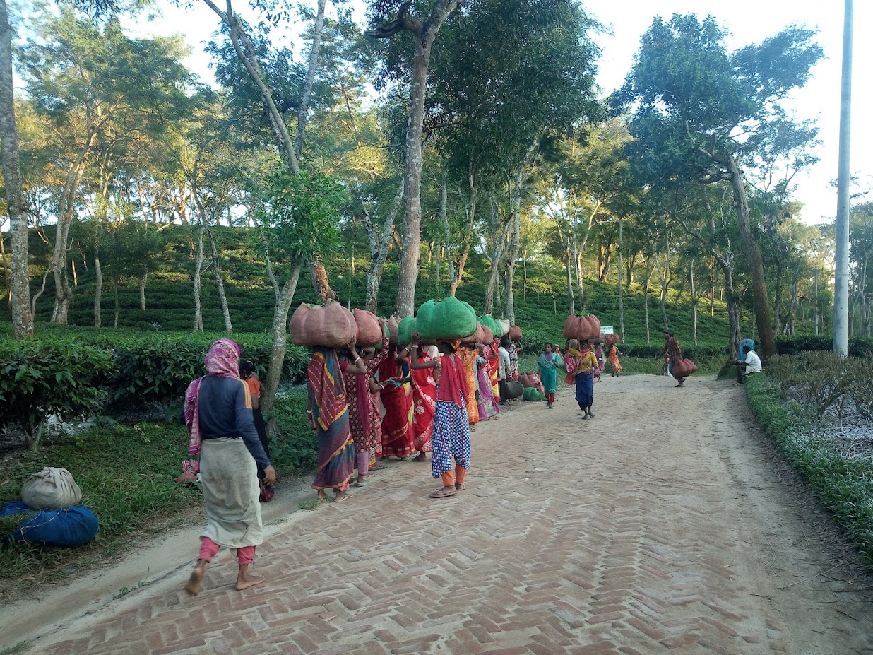 Bangladesh Highlights Expedition (11-Days tour) - Image 2