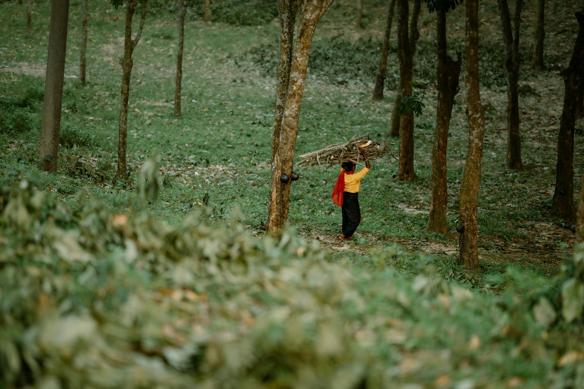 Tea Plantation Tour in Sreemangal - Image 8