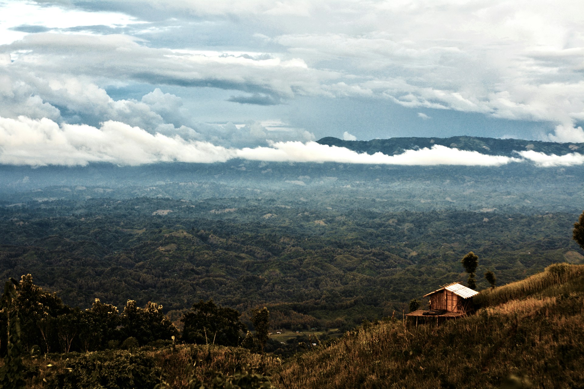 Chittagong Treasures: Hills & Coast - Image 5