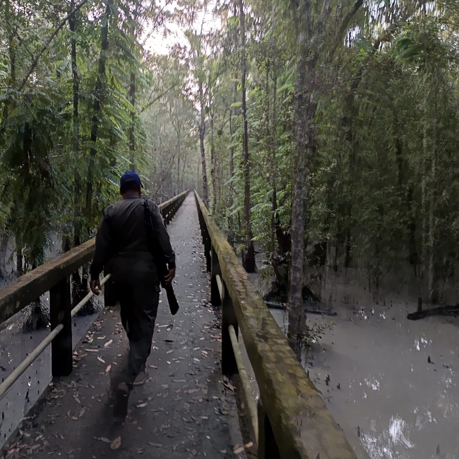 Dhaka to Sundarban Tour - Image 4