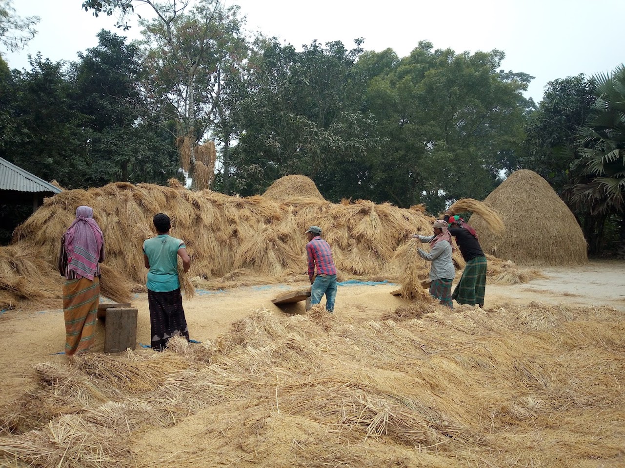 Highlights of Rajshahi - Image 10