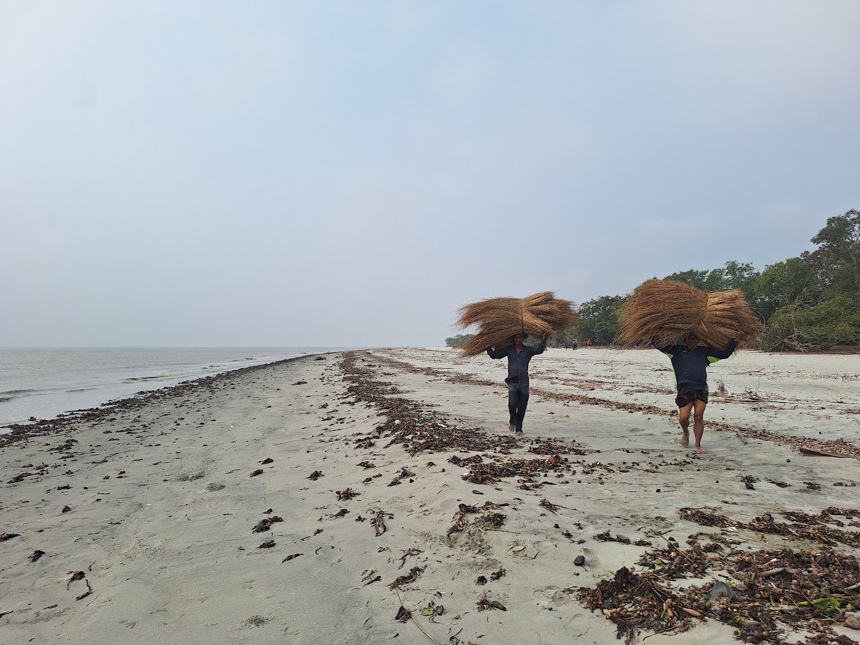 Sundarban Safari Adventure Tour - Image 3