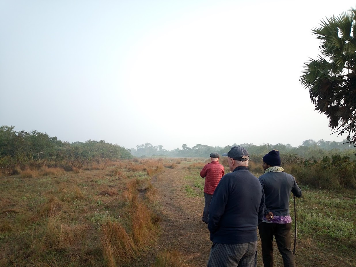 Sundarban Safari Adventure Tour - Image 4