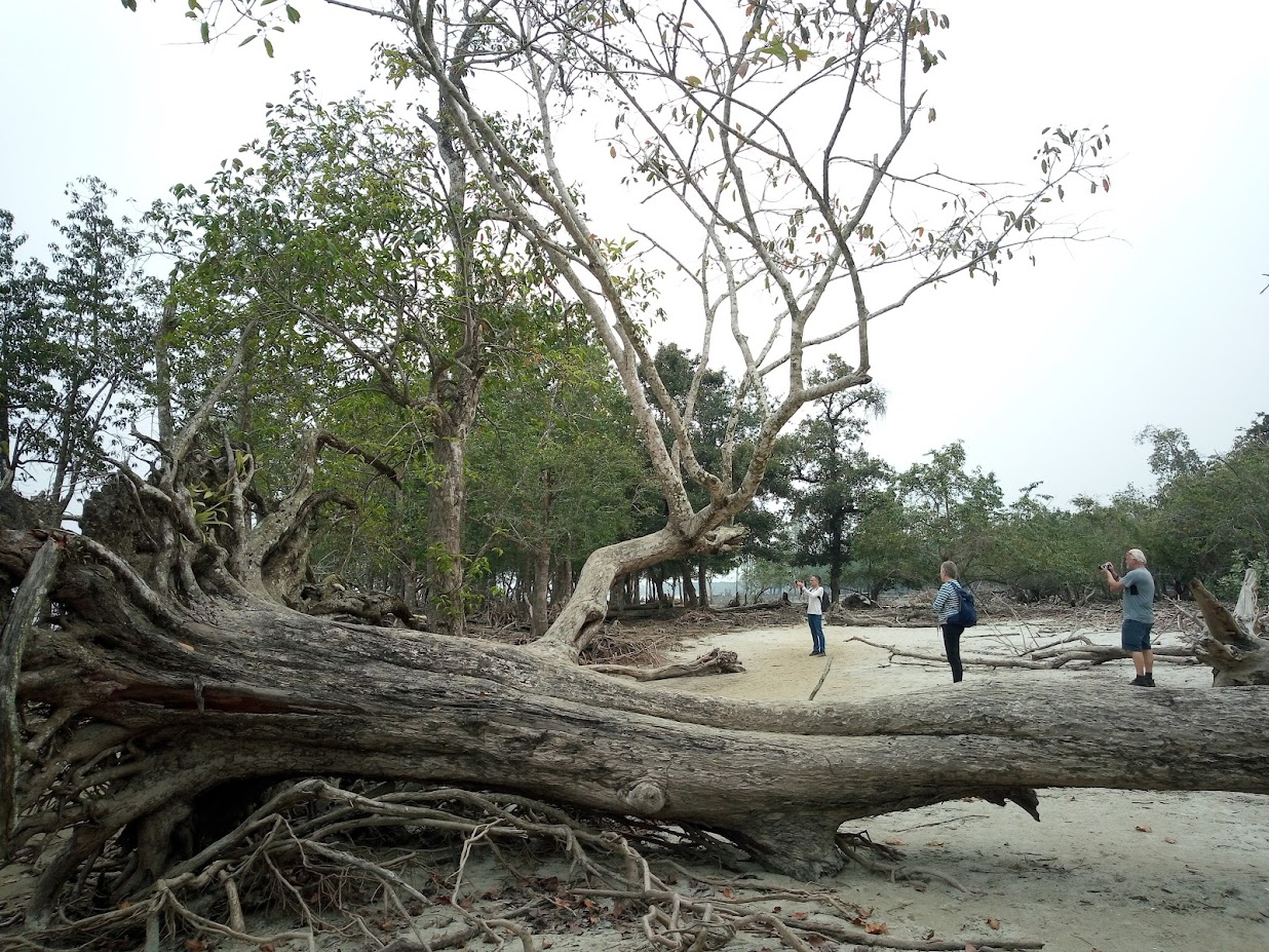 Sundarban Tour Bangladesh (3-Days) - Image 5